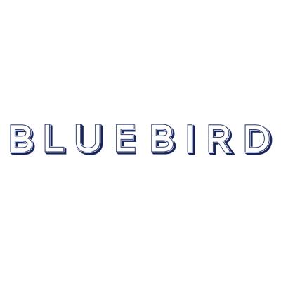 Blue Bird Bedford