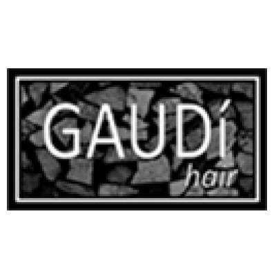 Gaudi Hair