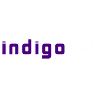 Indigo Hair