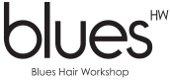 Blues Hair Workshop